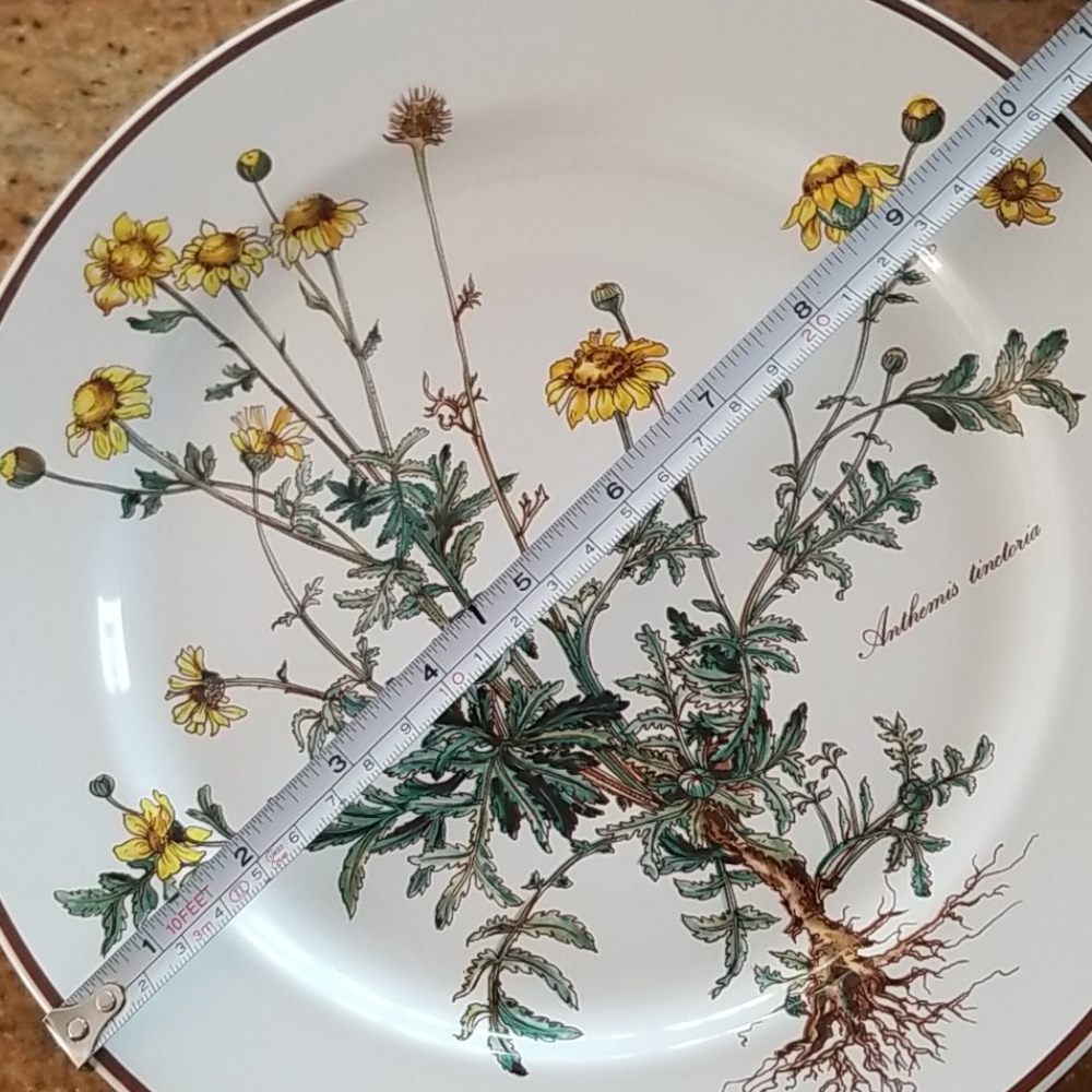 VILLEROY & BOCH
Botanica Porcelain Dinner Plate - Picture 11 of 11
